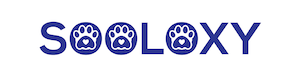 Image is the logo for Lexicon Electrical and Data based in the Blue Mountains of New South Wales, Australia